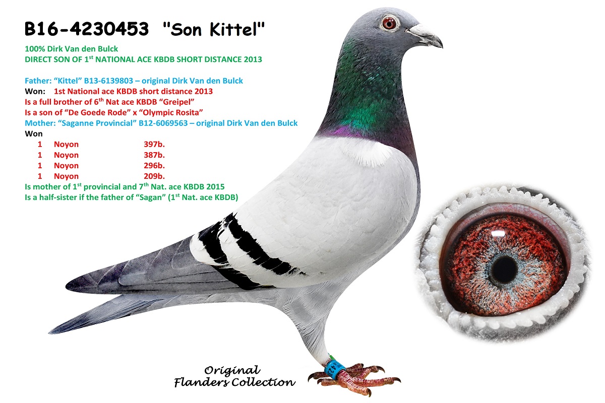 BE 16-4230453